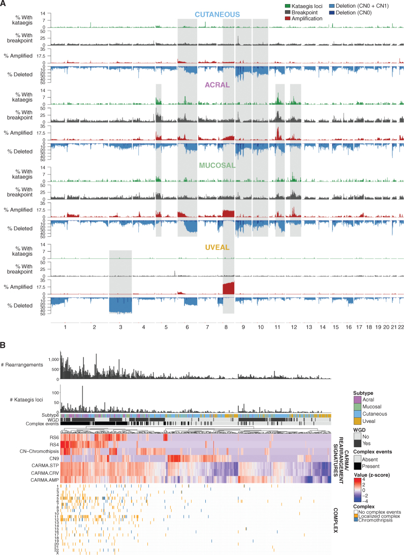 Figure 3. Rearrangements, CNAs, and complex rearrangement events. A, Distribution of (top to bottom) the percentage of tumors with kataegis loci (green), a rearrangement breakpoint (gray), a CNA with amplifications (red), and deletions (CN0 + CN1, blue) in 100-kb regions across the genome in each melanoma subtype. Regions of similarity and difference in the pattern of kataegis, breakpoints, and CNA between subtypes are shaded gray. B, Complex events in each tumor. From top to bottom: number of rearrangements, number of kataegis loci, melanoma subtype, presence of WGD, presence of complex rearrangement events, heat map of measures of complexity, and presence of complex events in each chromosome in each tumor. For the heat map of measures of complexity, tumors were clustered using various measures that indicate the presence of complex structural rearrangements and chromosomal instability, including chromothripsis-related CN signatures (CN chromothripsis: CN5 + CN6 + CN7 + CN8), diploid chromosomal instability CN signature CN9, clustering rearrangement signatures (RS4 and RS6), and CARMA features of amplification (AMP) and complexity (STP and CRV). For clustering, z-score–transformed values for each factor were used.