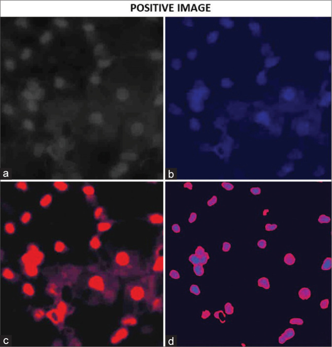 Figure 2: