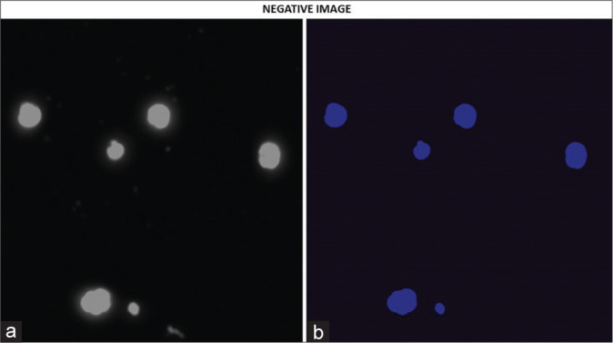 Figure 3: