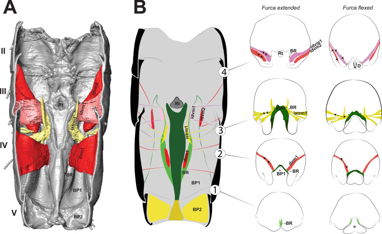 Fig. 9