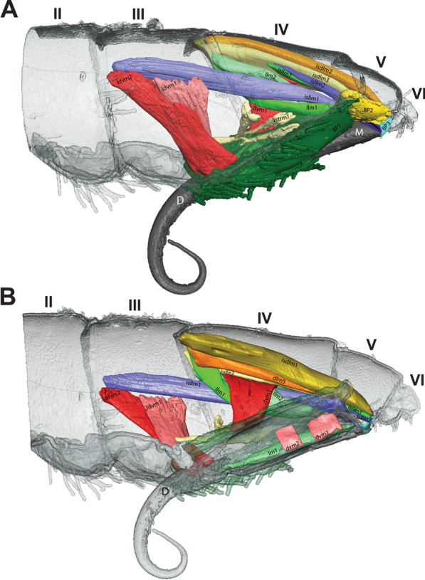 Fig. 10