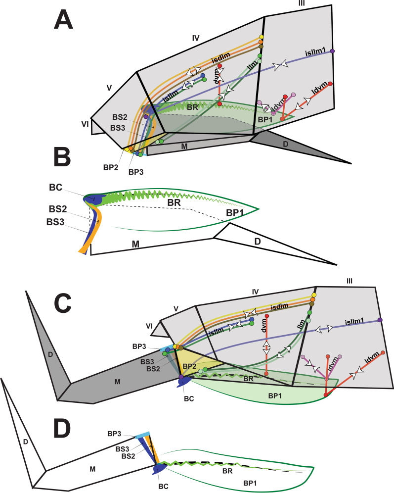 Fig. 13