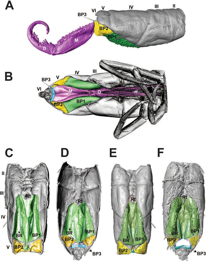 Fig. 5