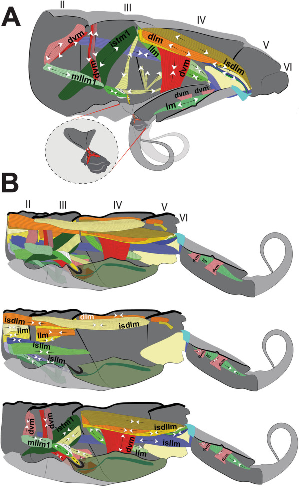 Fig. 17