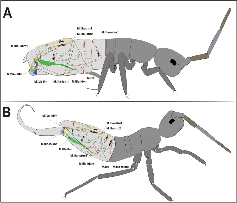 Fig. 18