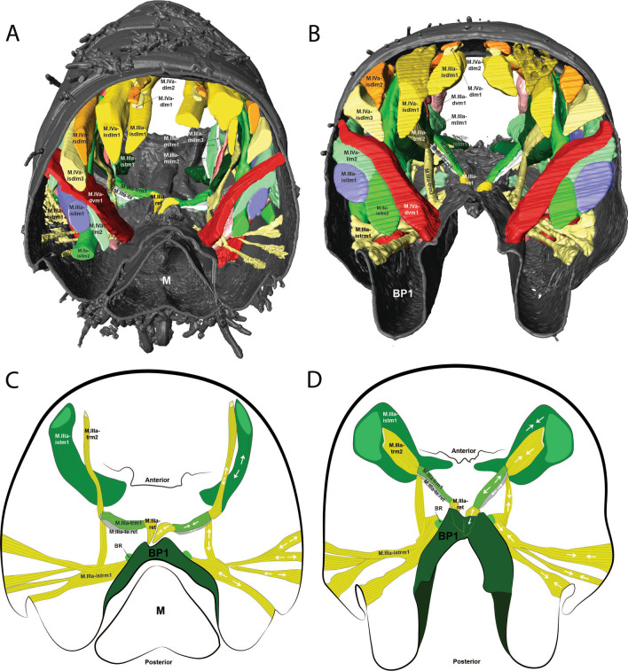 Fig. 15