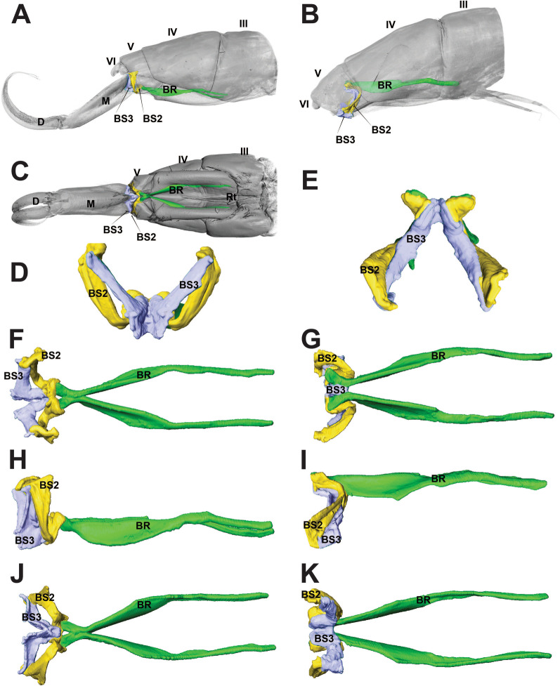 Fig. 7