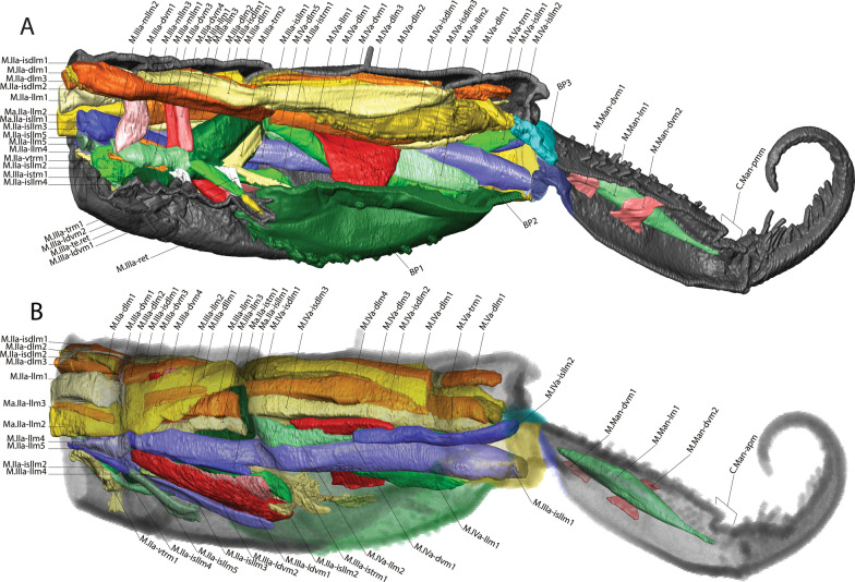 Fig. 3