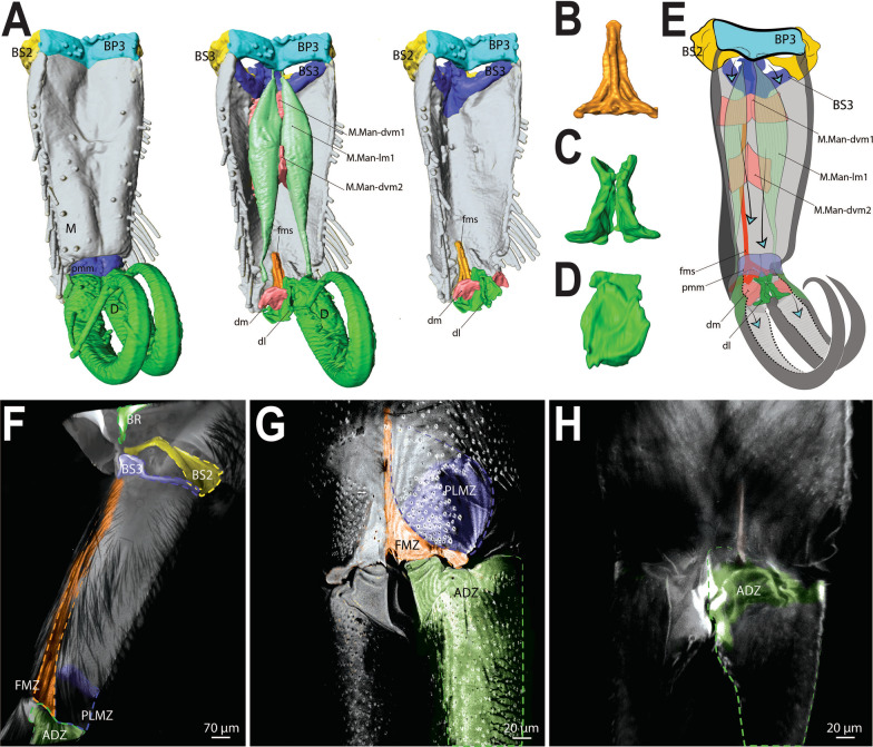 Fig. 14