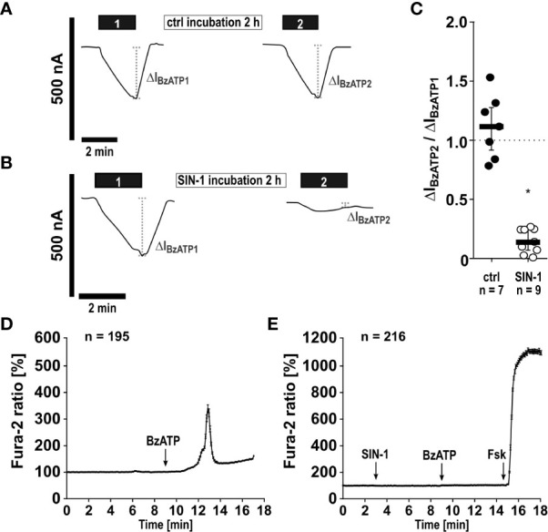 Figure 6