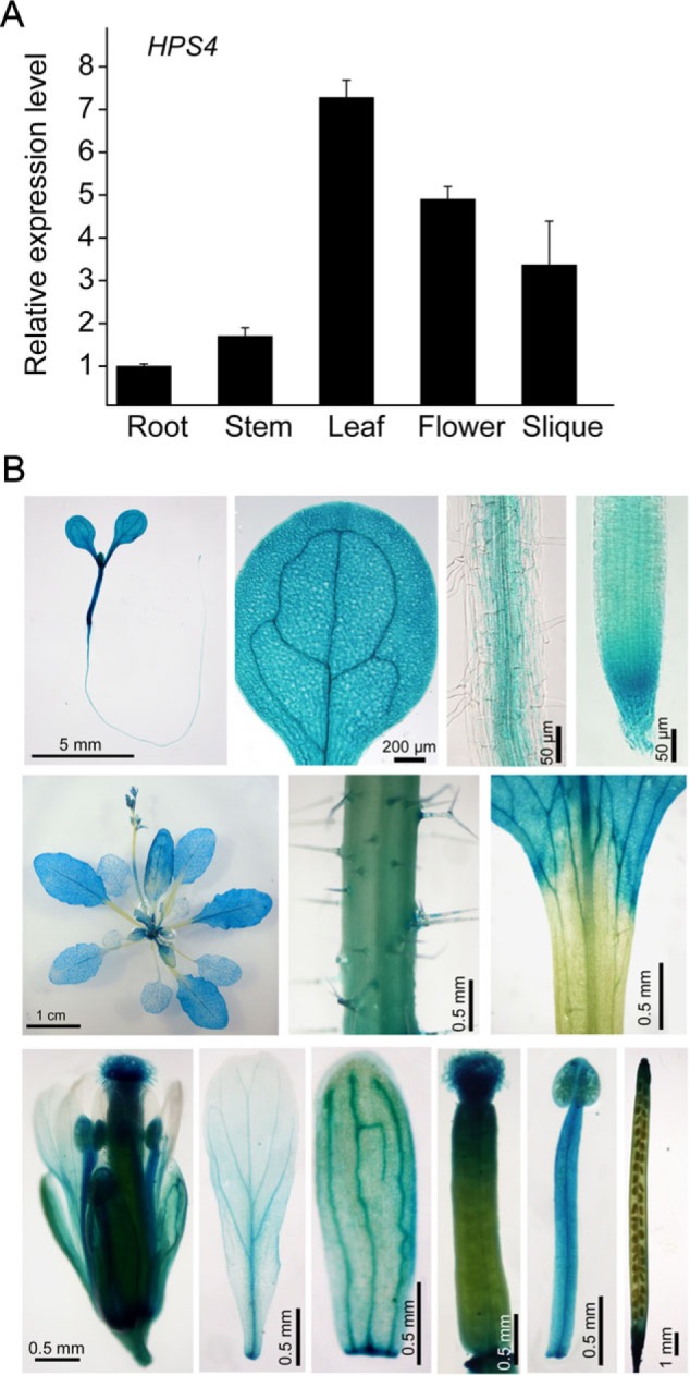 Fig. 4.