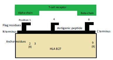 Fig. (1)