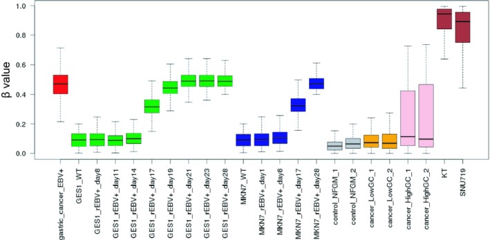 Figure 6