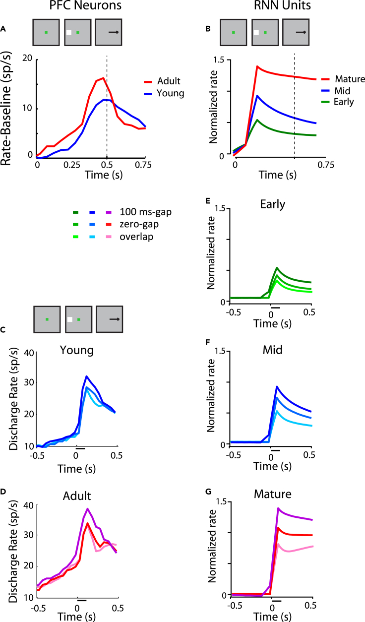 Figure 6