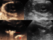 Fig. 8
