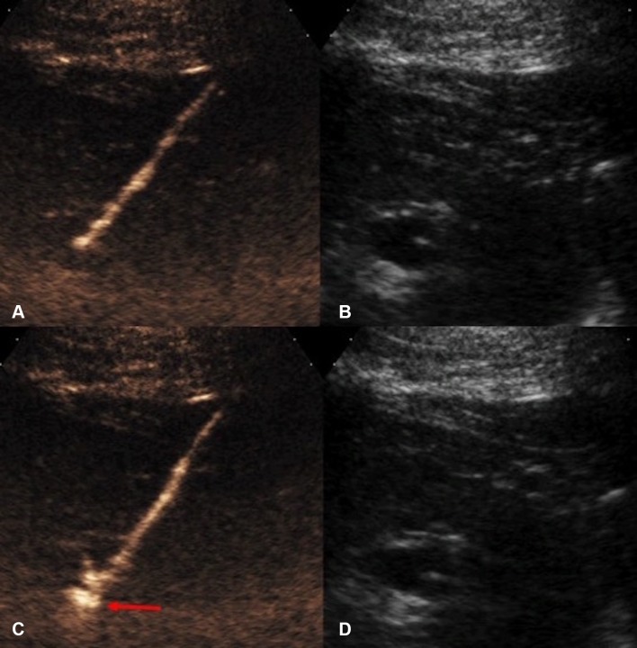 Fig. 7