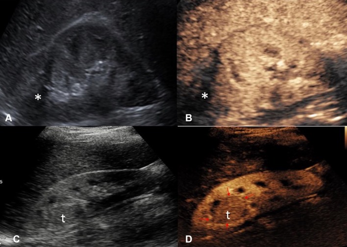 Fig. 13