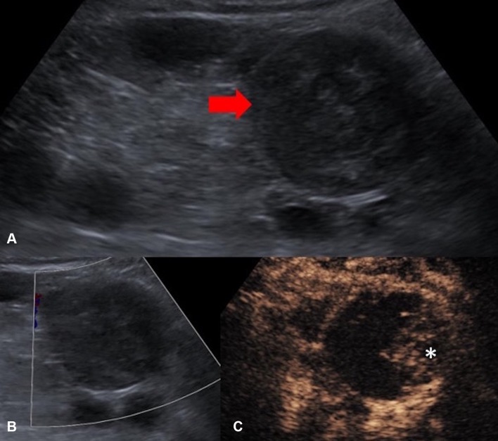 Fig. 5