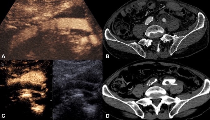 Fig. 4