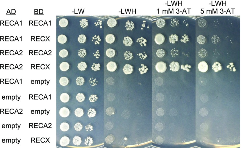 Figure 7.