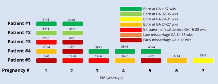 Fig. 4