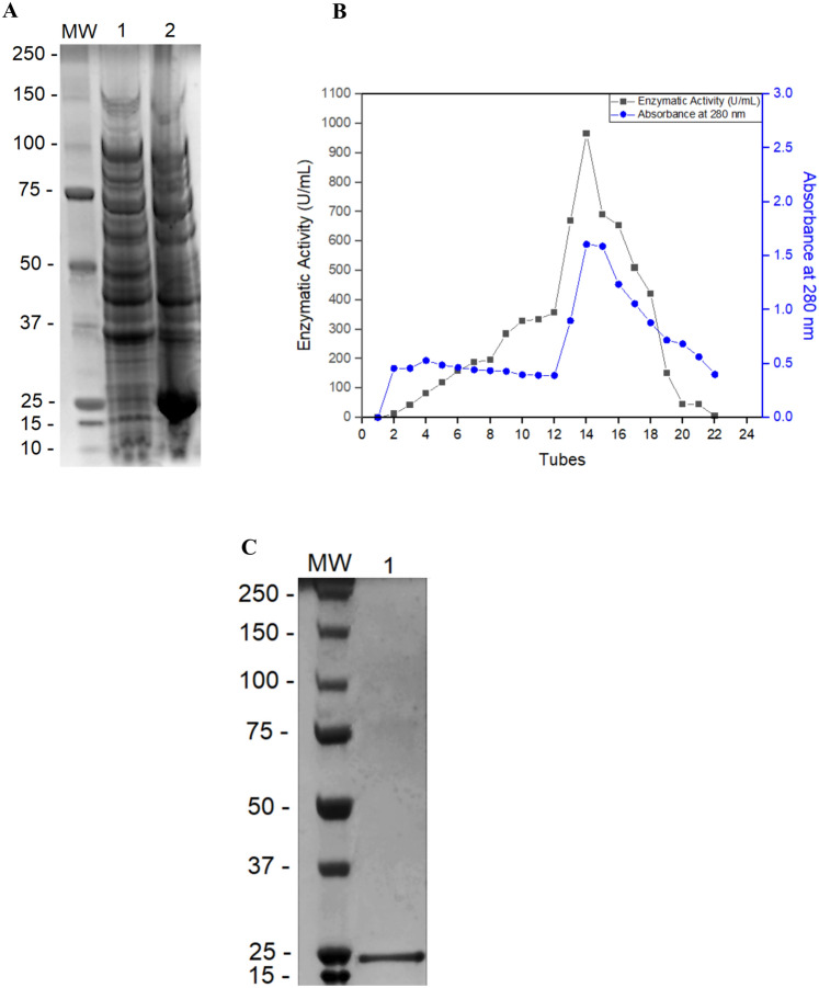 Fig. 3