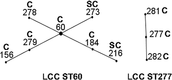 FIG. 2.