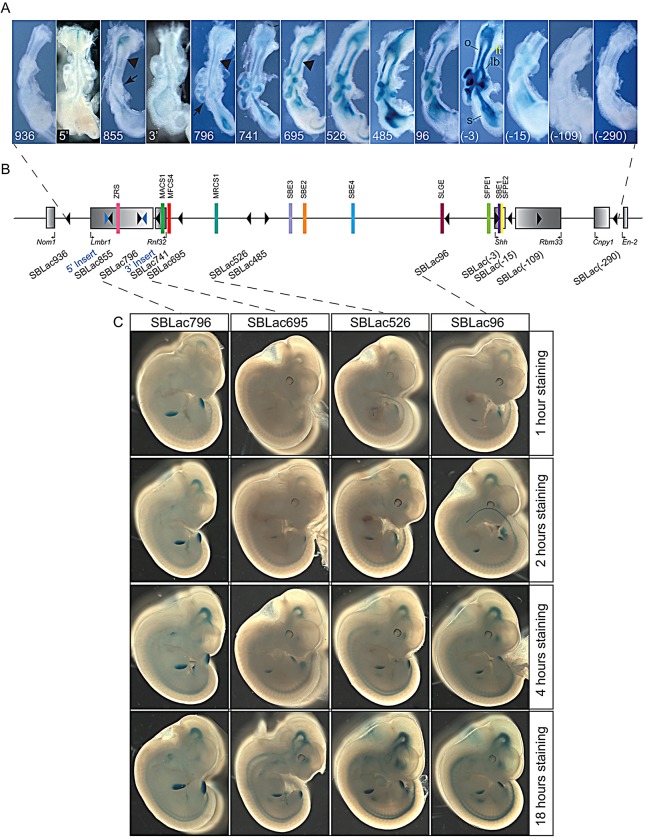 Fig. 3.