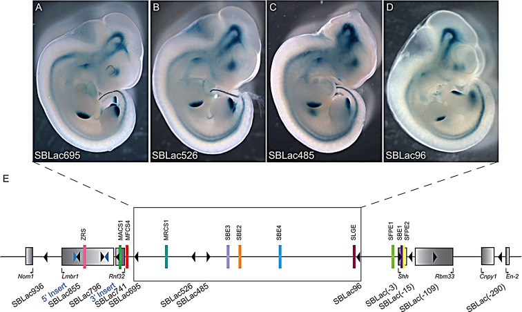 Fig. 2.