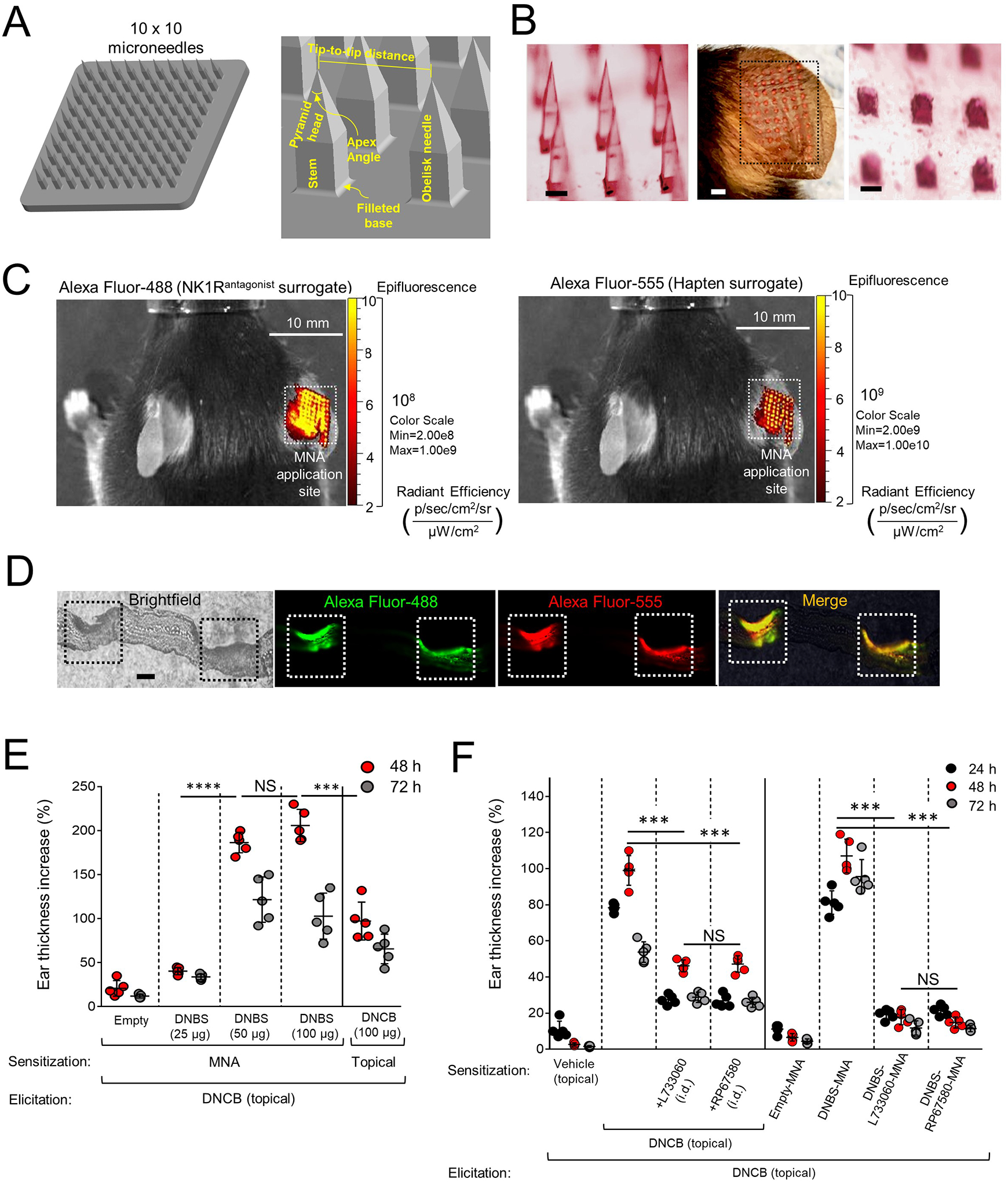 Fig 2.