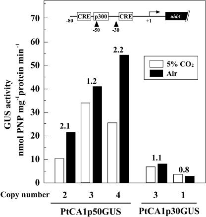 Figure 6.