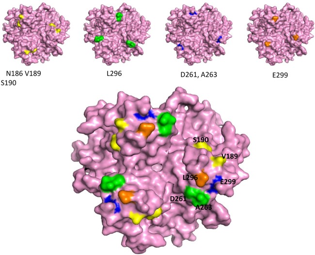 Fig 2