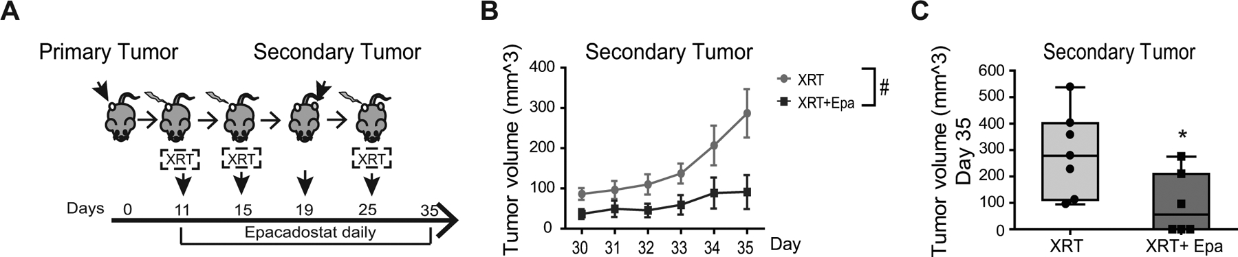 Figure 6: