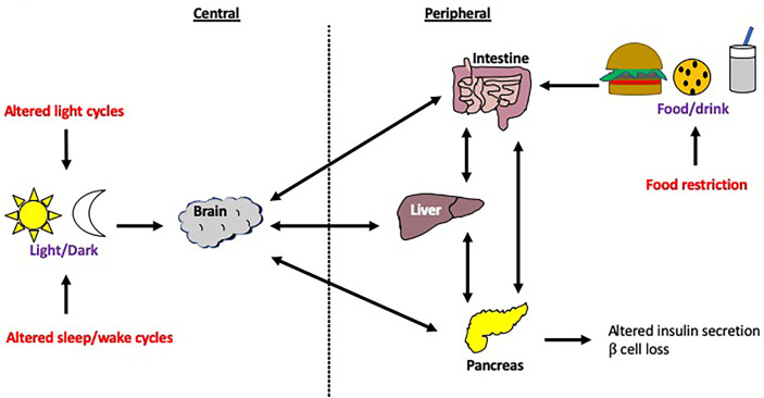 Figure 7