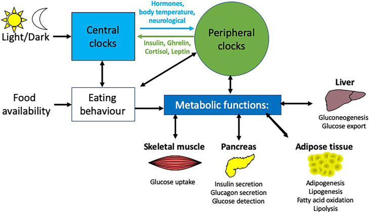 Figure 2