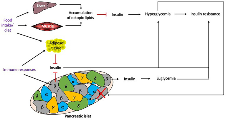 Figure 5