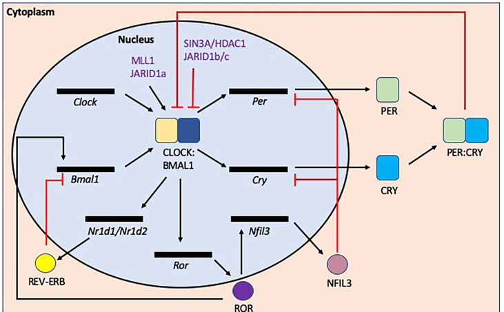 Figure 6