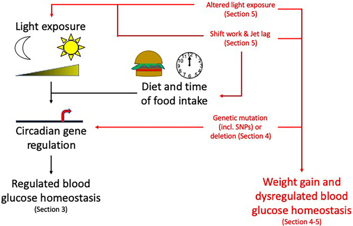 Figure 3