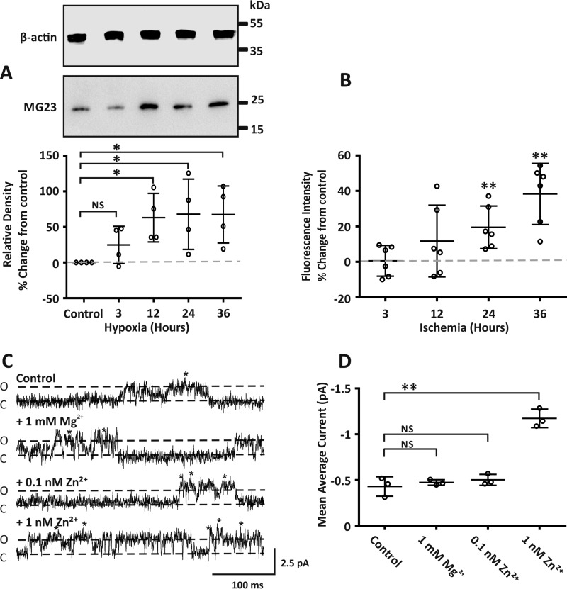 Figure 4.