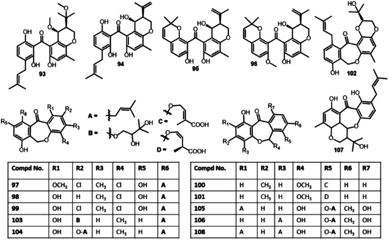 Fig. 10