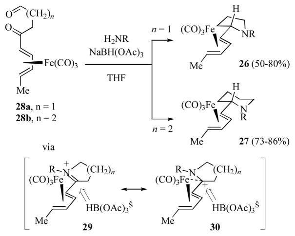 Scheme 6