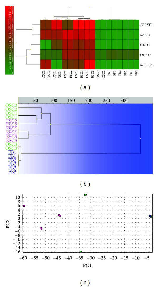 Figure 7