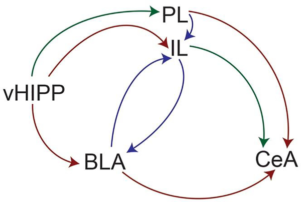 Figure 2: