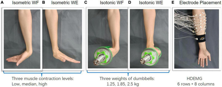 FIGURE 1