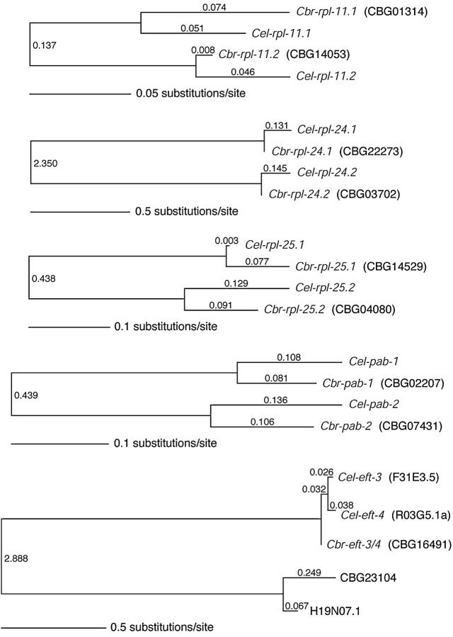 Figure 4.—