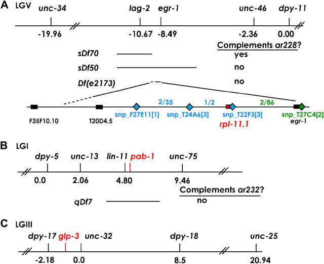 Figure 1.—