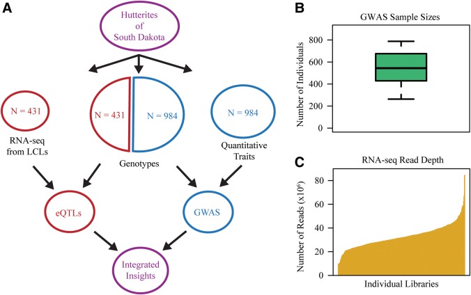 Figure 1.