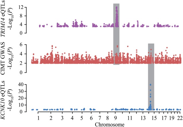 Figure 5.