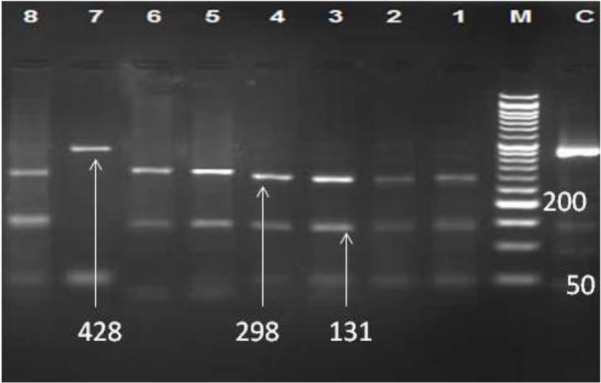 Fig. 3: