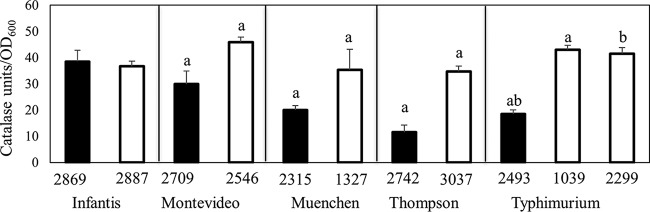 FIG 6